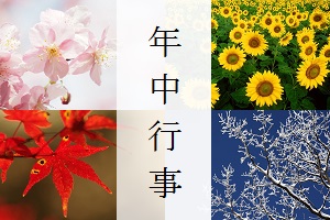 画像の説明